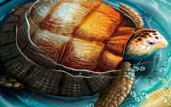 Turtle Wallpaper Desktop