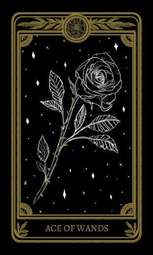Amrit Brar S Portfolio Marigold Tarot Cards HD