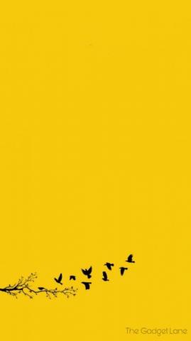 Apple iPhone Wallpaper Yellow