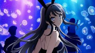 Rascal Does Not Dream Of Bunny Girl Senpai HD Wallpaper