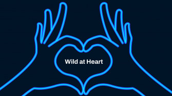 Neon Blue Aesthetic Wallpaper