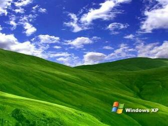 Wallpaper Grass Windows Xp Desktop Background