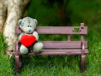 Bear Most Beautiful Teddy Img Src Desicomments