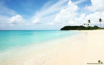 Sunny Beach Wallpaper
