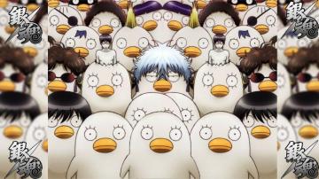 Gintama Elizabeth 1080p Wallpaper HDwallpaper