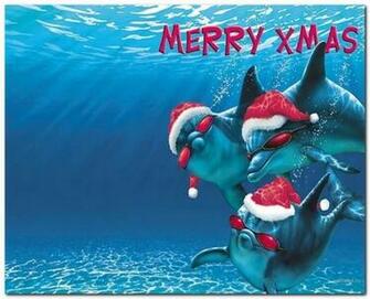 Here Are Some Of The Best Christmas Animals Wallpaper Which You Can