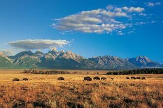 Jackson Hole Wyoming Trail Map Guide From The