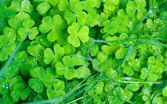 Irish Wallpaper Background