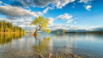 Wallpaper New Zealand Island Lake Wanaka