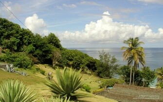 Pixel Widescreen Wallpaper Of A Hill Side Garden In Grenada