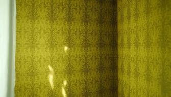 The Yellow Wallpaper Annotated Bibliography