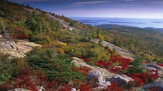 Acadia National Park Wallpaper