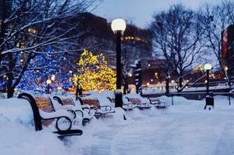 Winter Shops City Night Snow Wallpaper