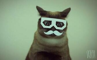 Cats Dubstep Wallpaper Mustache Scifcha
