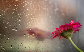 Beautiful Rain Wallpaper