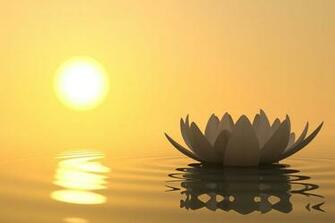 Wellness Background Image In Collection