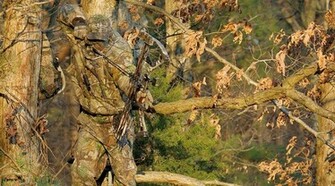 Realtree Camo Pattern Apg
