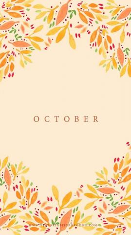October Floral Wallpaper Victoriabilsborough