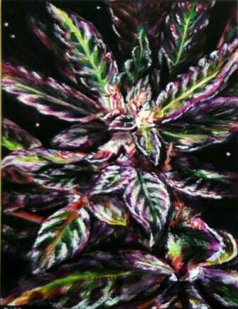 Purple Kush Wallpaper By Akinomicon
