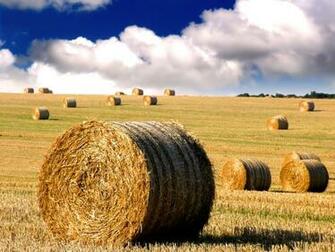 Hay Bale By Djmattricks