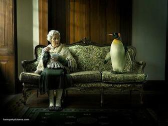 Desktop Wallpaper Penguin Is A Best Friend Funny Picture Pop Art