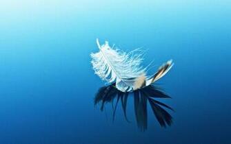 Beautiful Wallpaper For Desktop Samsung HD