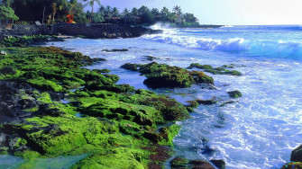 Wallpaper Kona Coast Resort Big Island Hawaii X
