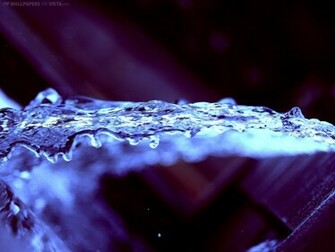 Cool Water Wallpaper See To World