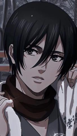 Great Aot Ideas Attack On Titan Anime Art