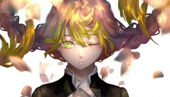 Mitsuri Kanroji HD Wallpaper And Background