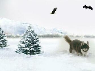 Dog In The Snow Wallpaper Animals With All