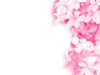 Modern Pink Wallpaper Cartoon