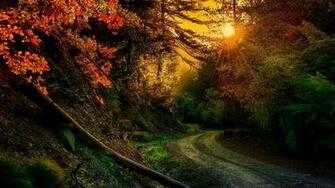 Fall Wallpaper