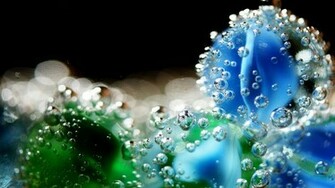 Macro Water Drop Desktop Pc And Mac Wallpaper
