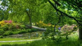 Labels Koi Fish Pond Wallpaper