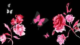 Flowers Wallpaper For Phone Net