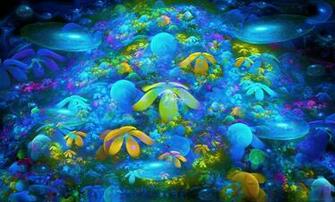 Coral Reef