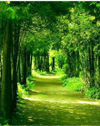If You Love In Nature Live With Felicity Aventura