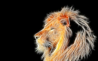 Cool Lion