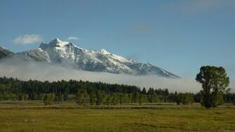 Mlewallpaper Foggy Teton Mountains