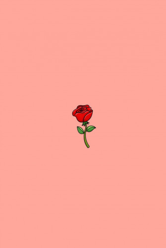 Aesthetic Rose Wallpaper HD Net