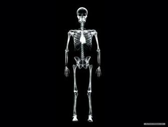 Wallpaper Art X Ray