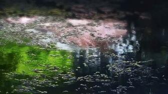 Tag Makoto Shinkai The Garden Of Words Wallpaper Exquisite