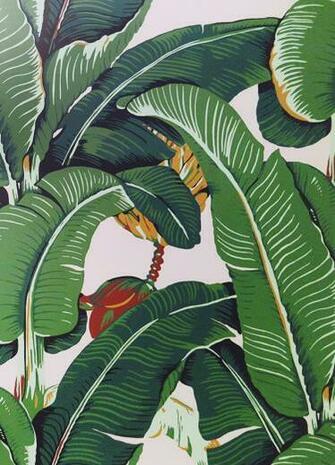 Why Well The First Reason Was To Check Out Iconic Palm Wallpaper