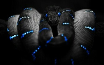 Beautiful HD Wallpaper Black