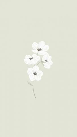 Alheli Roc O On Wallpaper Vintage Flowers Cute