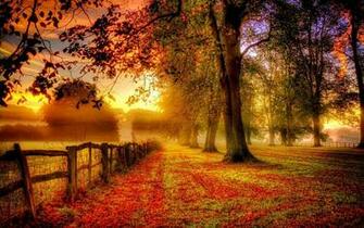Fall Screensavers Wallpaper