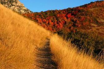 Autumn Country Path Wallpaper