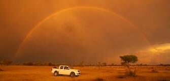 Pin Rainbow Lion Kalahari Desert Wallpaper
