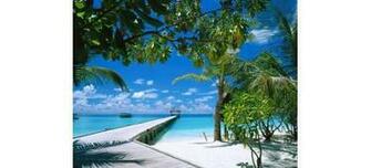 Beach Wallpaper